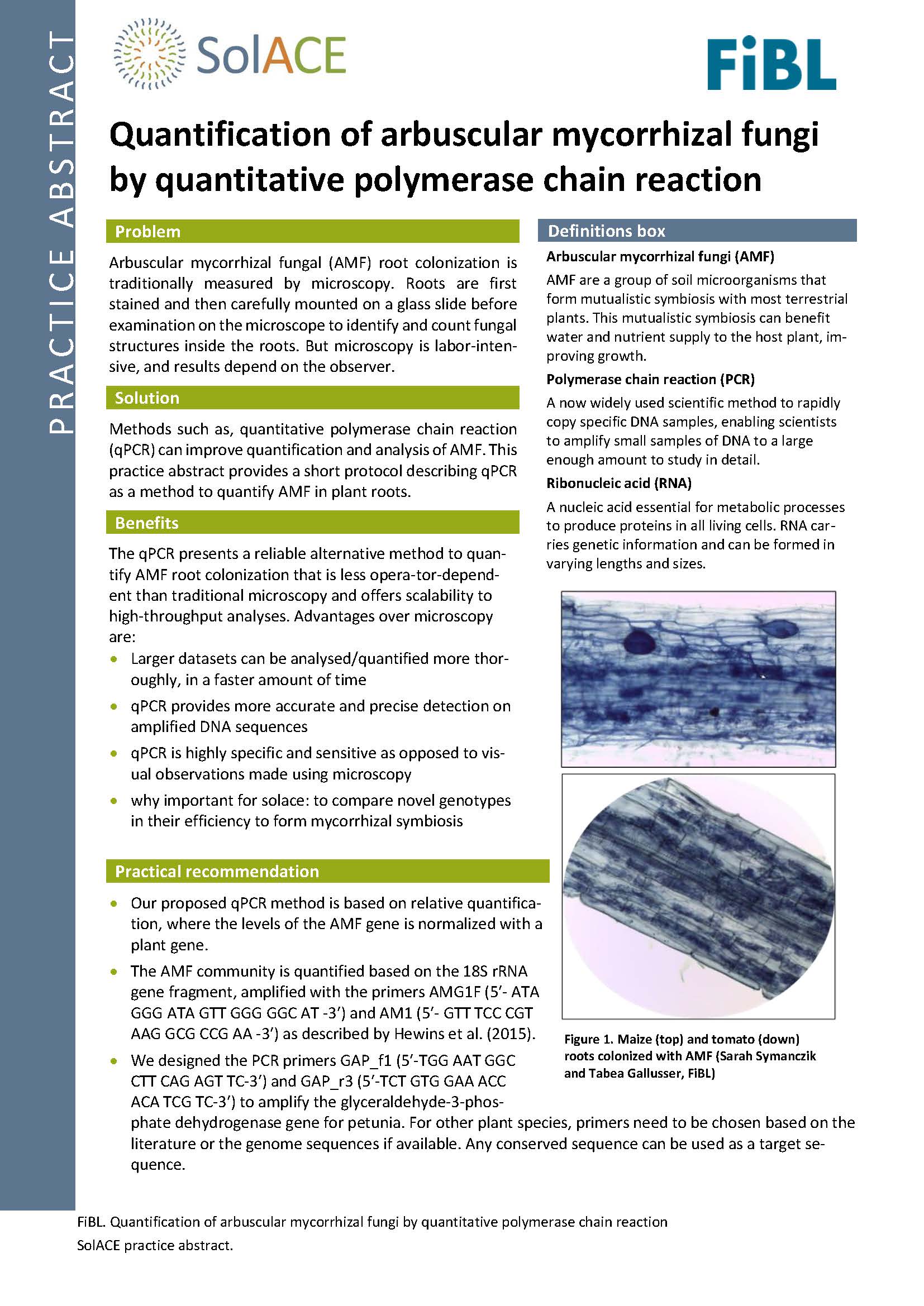 First page of the practice abstract